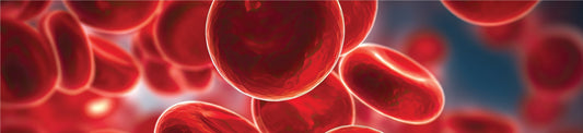 Detailed close-up of red blood cells illustrating hematology analysis – Digital Differential Counters by Qor Labs